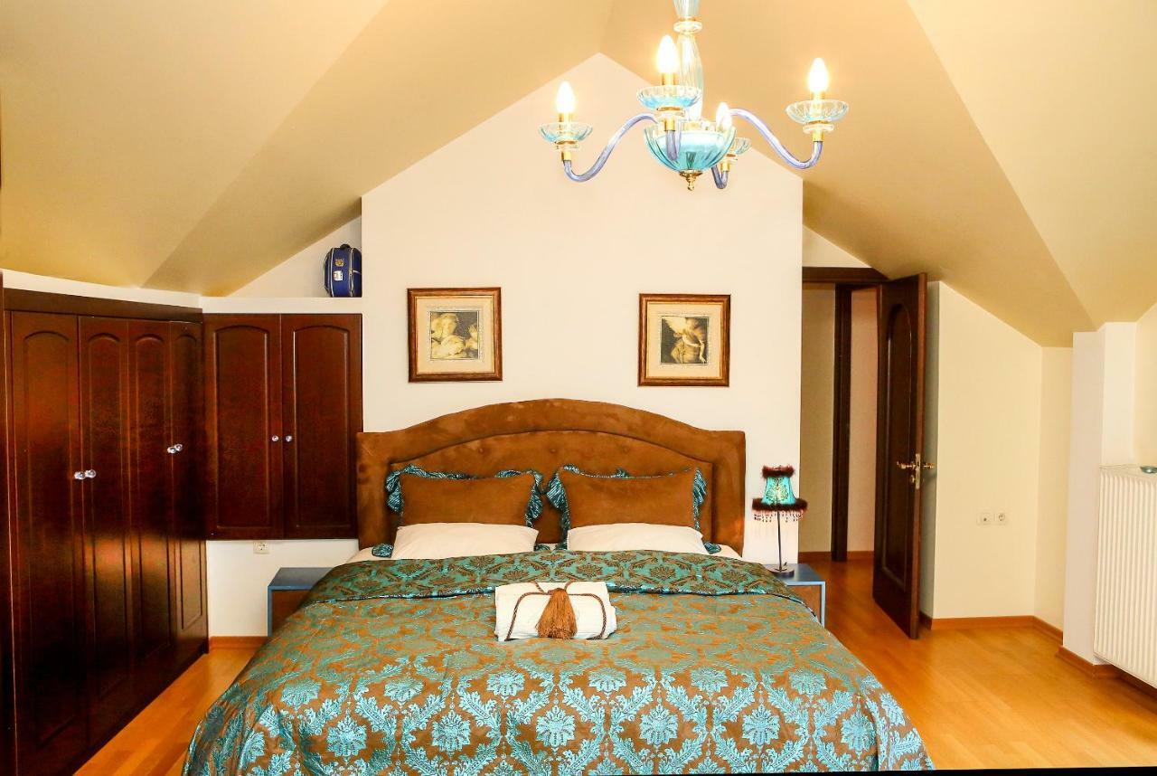 Villa Deluxe Sight Ioannina Luaran gambar